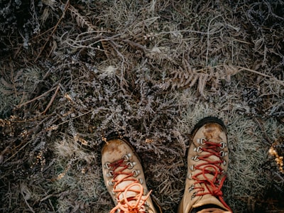 Footwear category