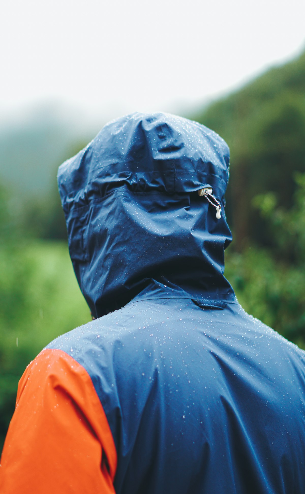 Navy and orange Cascade rain shell, hood up in misty forest